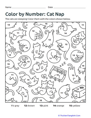 Color by Number: Cat Nap