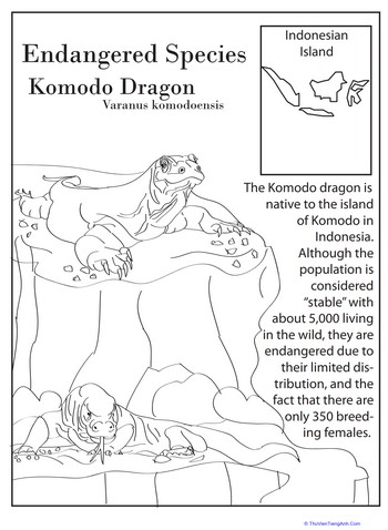 Endangered Species: Komodo Dragon