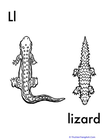 L for Lizard