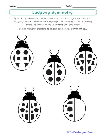 Ladybug Symmetry