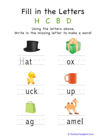 Fill in the Letters: H C B D