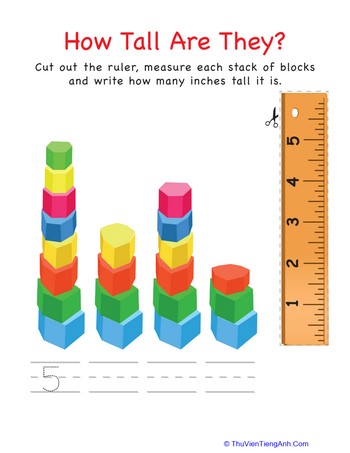 How Tall Are They: Blocks