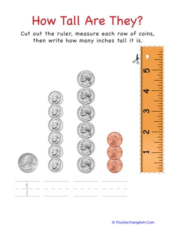 How Tall Are They: Coins!