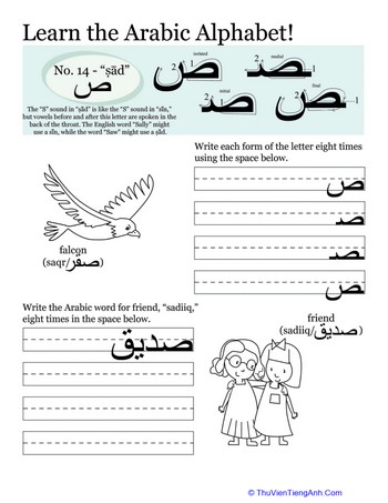 Arabic Alphabet: Ṣād