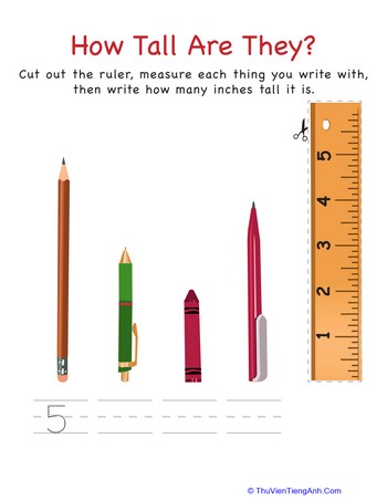 How Tall Are They: Writing Instruments