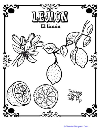 Lemon in Spanish