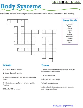 Life Science Crossword: Body Systems
