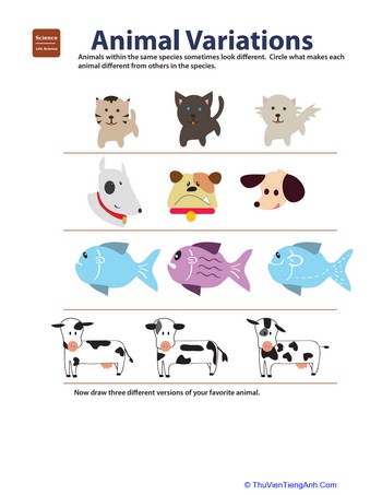 Variation in Animals: Life Science Learning