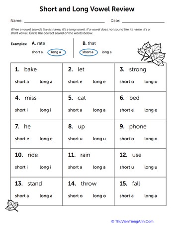 Long and Short Vowel Review