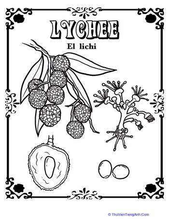 Lychee in Spanish