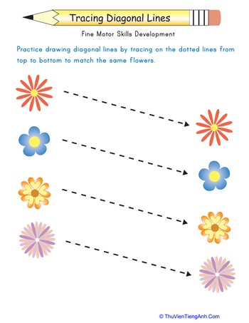 Match the Flowers: Trace the Diagonal Lines