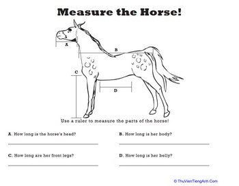 Measure Length: Horse!