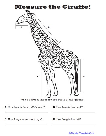Measure Length: Giraffe!