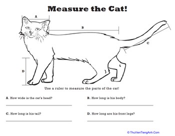 Measure Length: Cat!