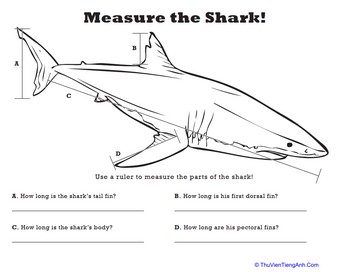 Measure Length: Shark!