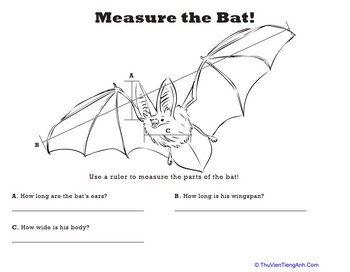 Measure Length: Bat!