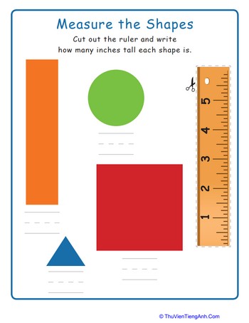 Measure the Shapes!
