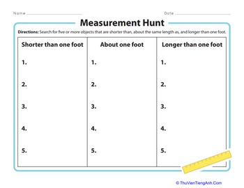 Measurement Hunt