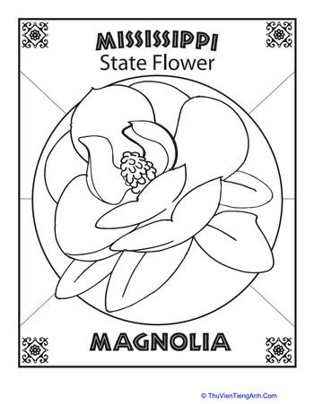 Mississippi State Flower