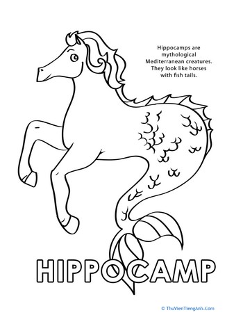 Color the Hippocamp