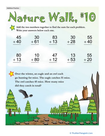 Nature Walk: Addition #10