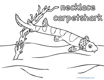 Necklace Carpetshark Coloring Page