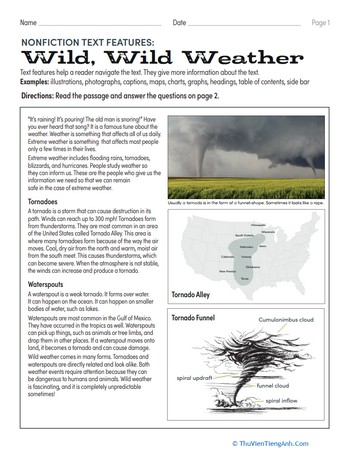 Nonfiction Text Features: Wild, Wild Weather