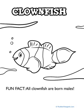 Ocean Coloring Pages: Clownfish