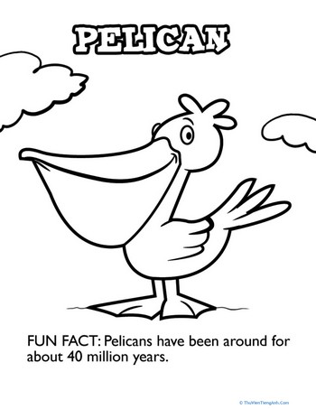 Playful Pelican