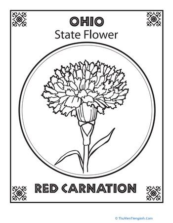 Ohio State Flower