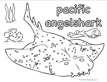 Pacific Angel Shark Coloring Page