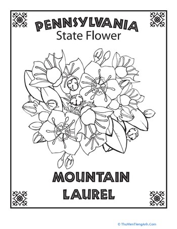 Pennsylvania State Flower