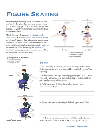 Physics of Figure Skating