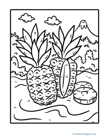 Pineapple Coloring Page