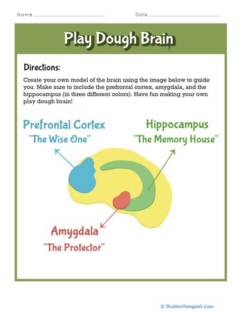 Play Dough Brain
