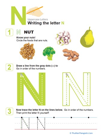 N is for Nuts! Practice Writing the Letter N
