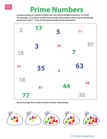 Prime Number Practice