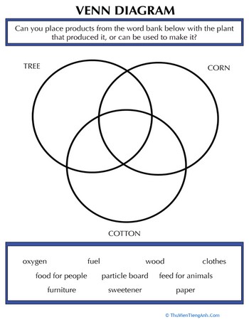 Products Made From Plants Venn Diagram