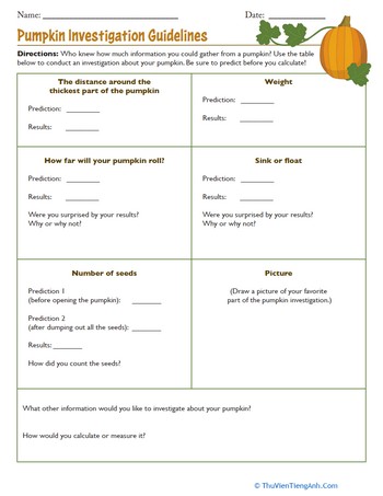 Pumpkin Investigation Guidelines