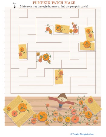 Pumpkin Patch Maze