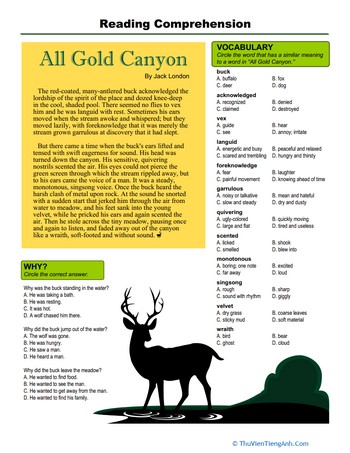 Reading Comprehension: All Gold Canyon