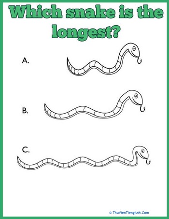 Ruler Measurements: Which Snake is Longest?