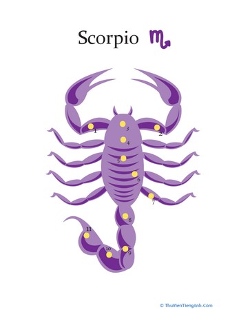 Scorpio Constellation