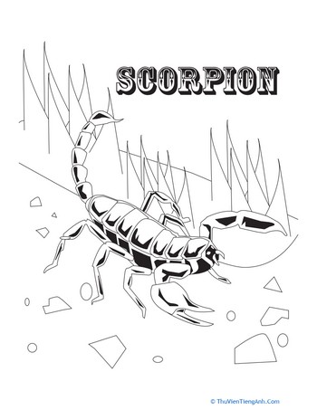 Scorpion Coloring Sheet