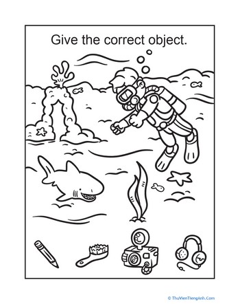 Scuba Diving Missing Object