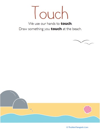 Our Five Senses: Touch