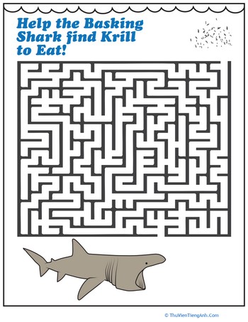 Shark Maze