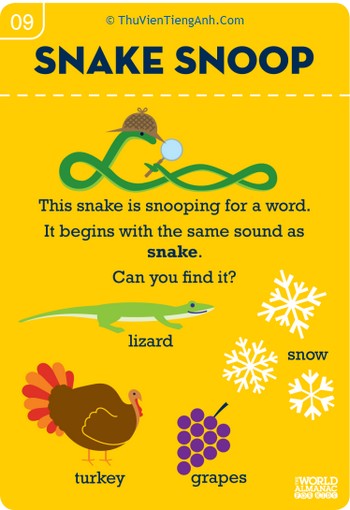 The Sn Sound: Snake to It!