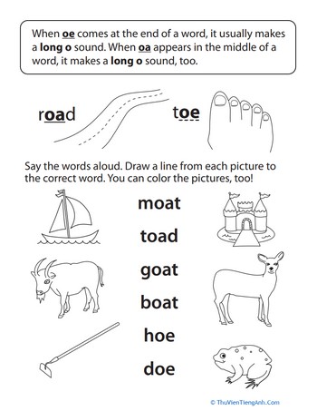 Sounding It Out: Oe and Oa Vowel Pairs
