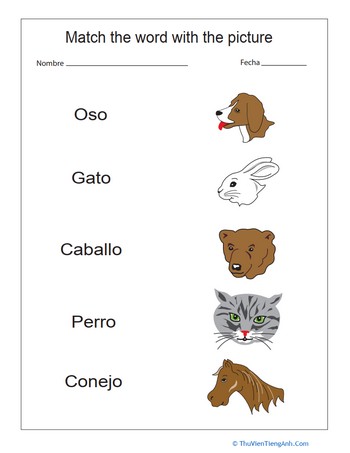 Match the Animals in Spanish